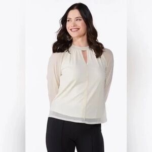 ❄️ Cato | Mesh Balloon Sleeve Top Size Large Pale Gold